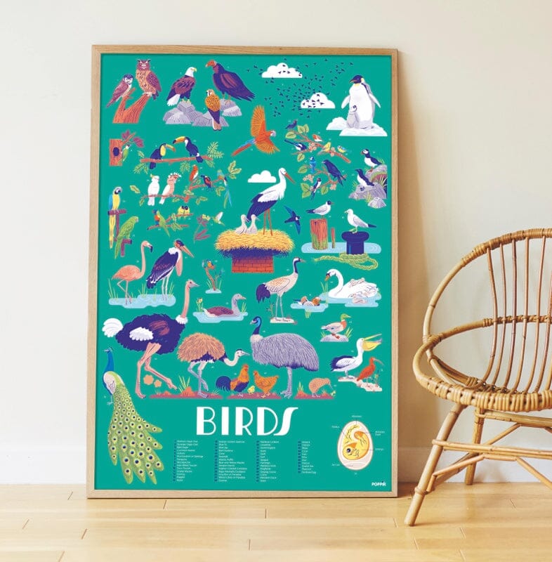 poster pédagogique oiseaux (1 m x 68 cm)- poppik dis017 3760262411491