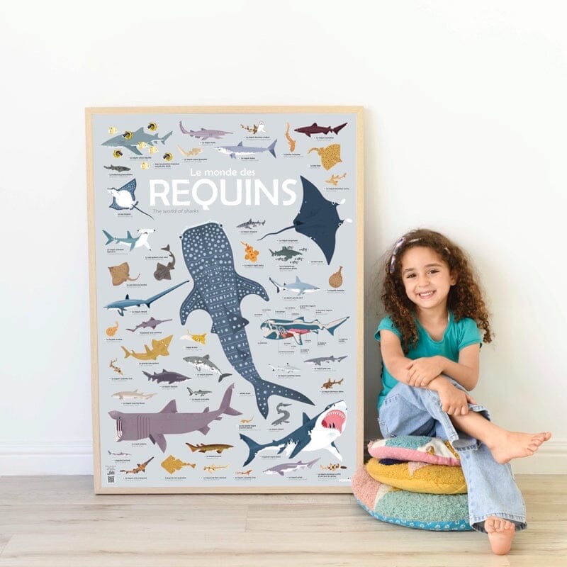 poster pédagogique requins + 45 stickers- poppik dis004 3760262412368